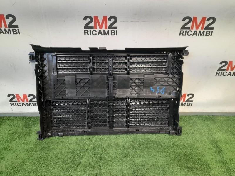 Rivestimento Frontale ANT 9817002880 Citroen DS4 I 2016