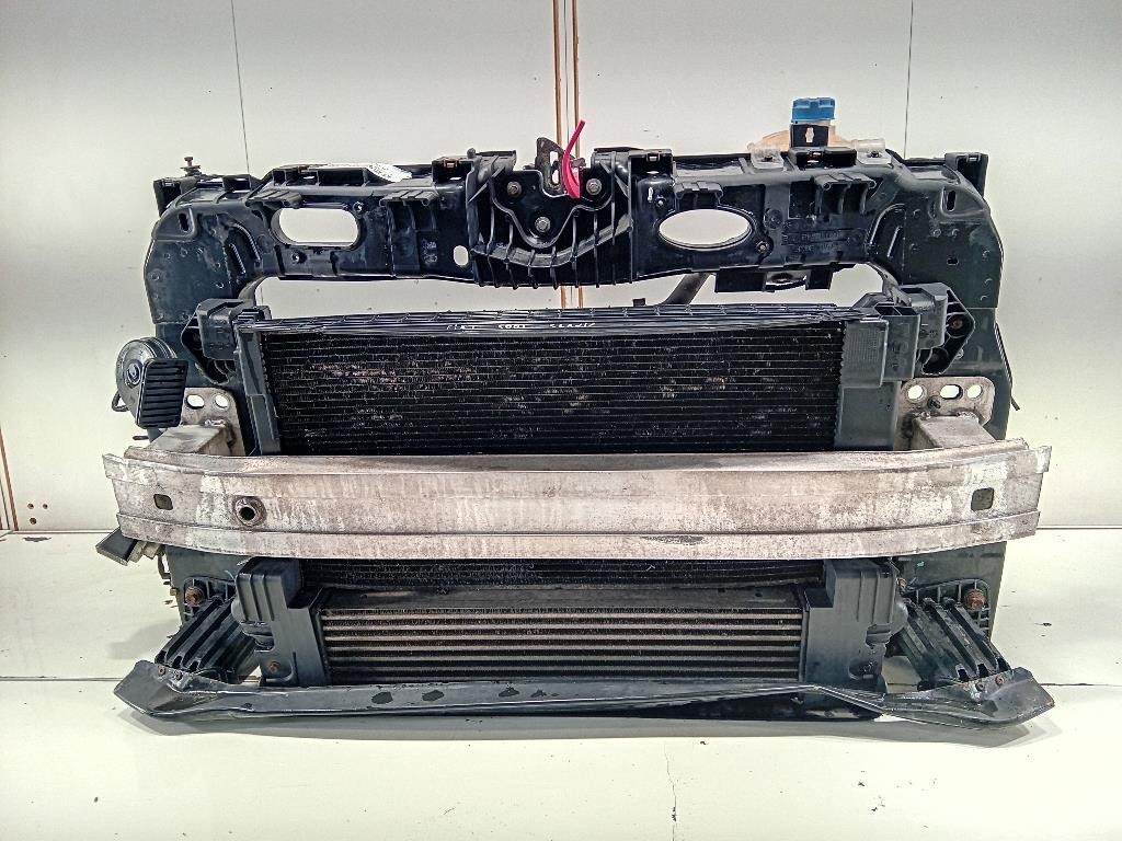 Rivestimento Frontale ANT RIVESTIMENTO FRONTALE ANT Fiat 500L 2013