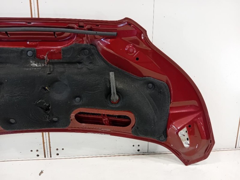 Cofano ANT 2485550 Ford Transit VI 2019