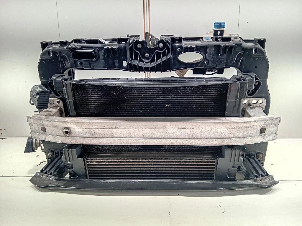 Rivestimento Frontale ANT RIVESTIMENTO FRONTALE ANT Fiat 500L 2013