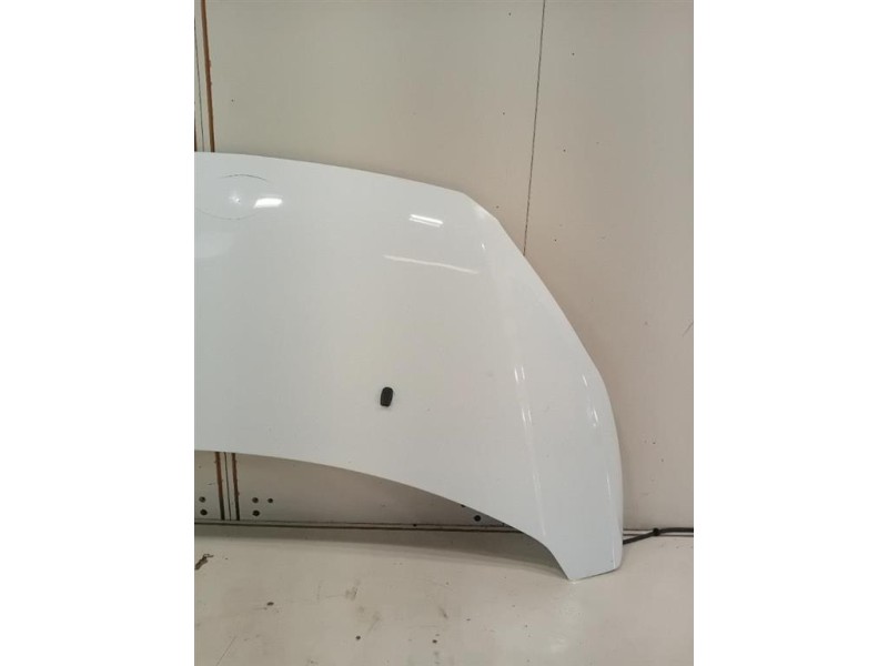 Cofano ANT 2445243 Ford Transit Custom I 2013