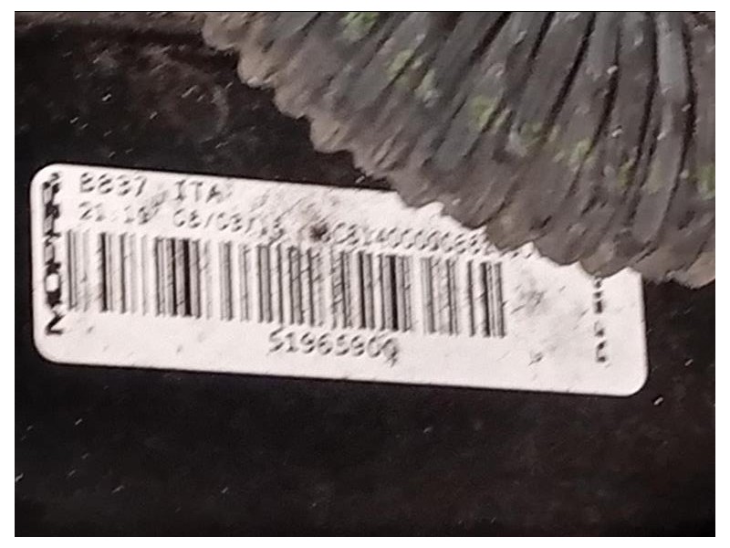 Rivestimento Frontale ANT 51939783 Fiat 500X 2015