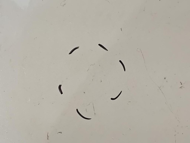 Cofano ANT COFANO ANT Honda HR-V III 2021