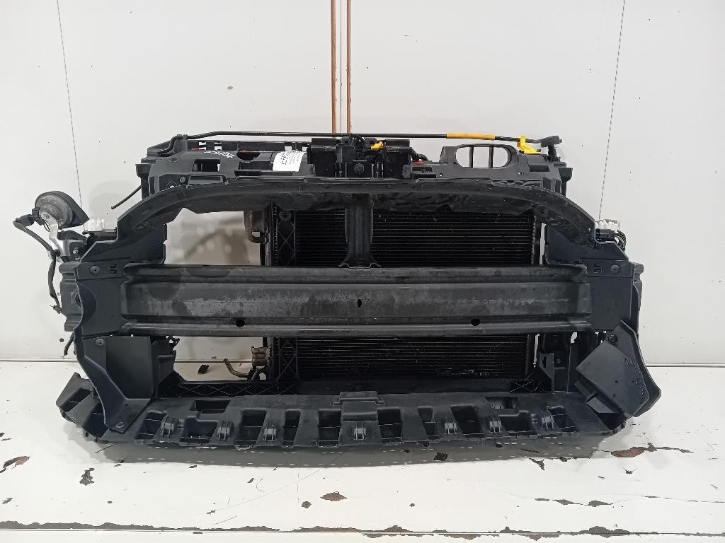 Rivestimento Frontale ANT RIVESTIMENTO FRONTALE ANT Ford Fiesta VI 2012