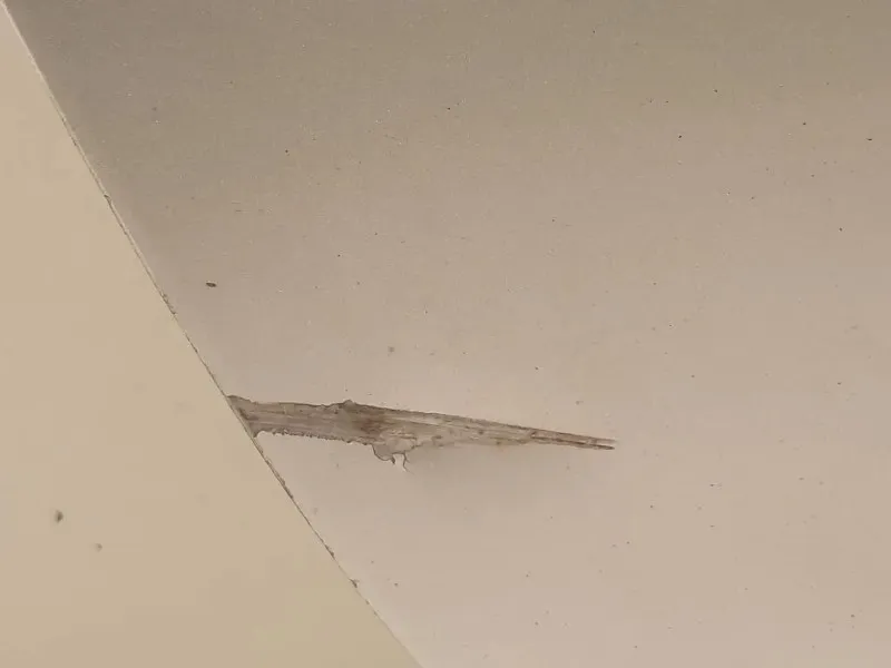 Porta POST DX C2Z2013 Jaguar XF I 2008