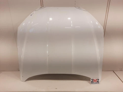 Cofano ANT C2Z29968 Jaguar XF I 2011