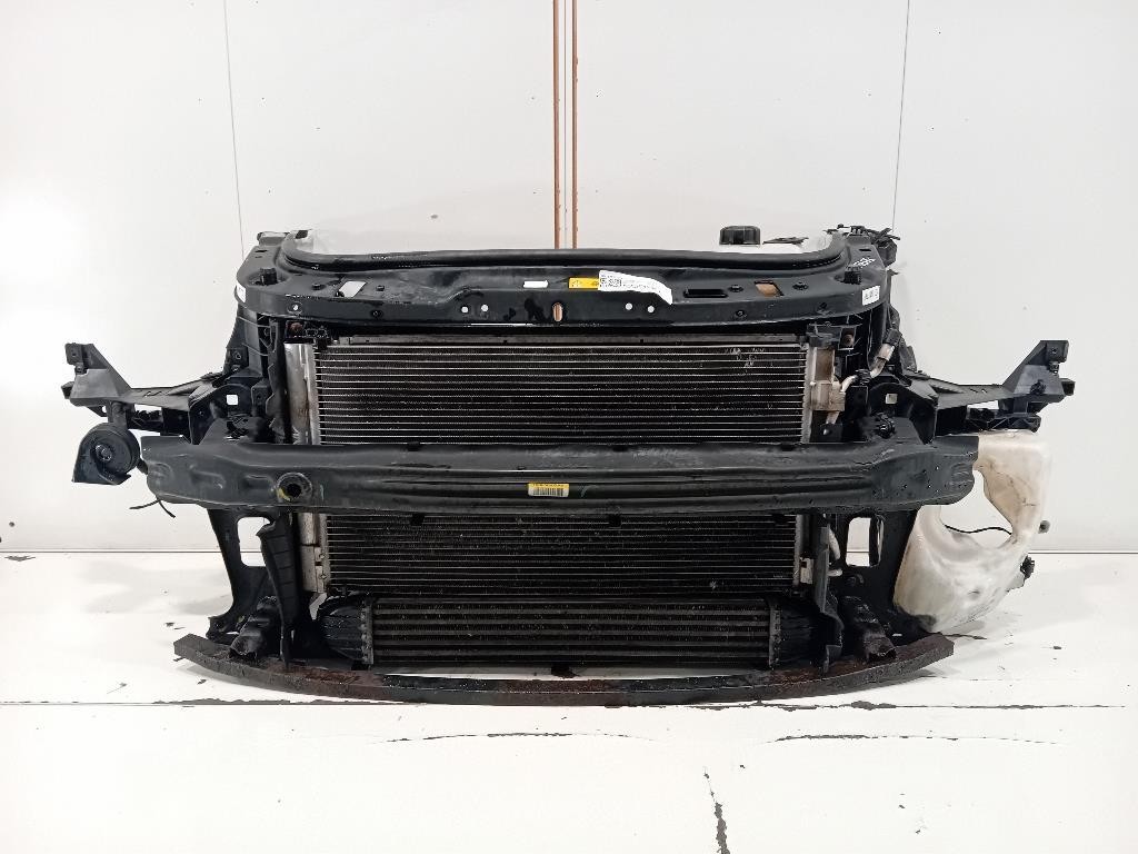 Rivestimento Frontale ANT 51717147912 Mini MINI Cooper R56 2007