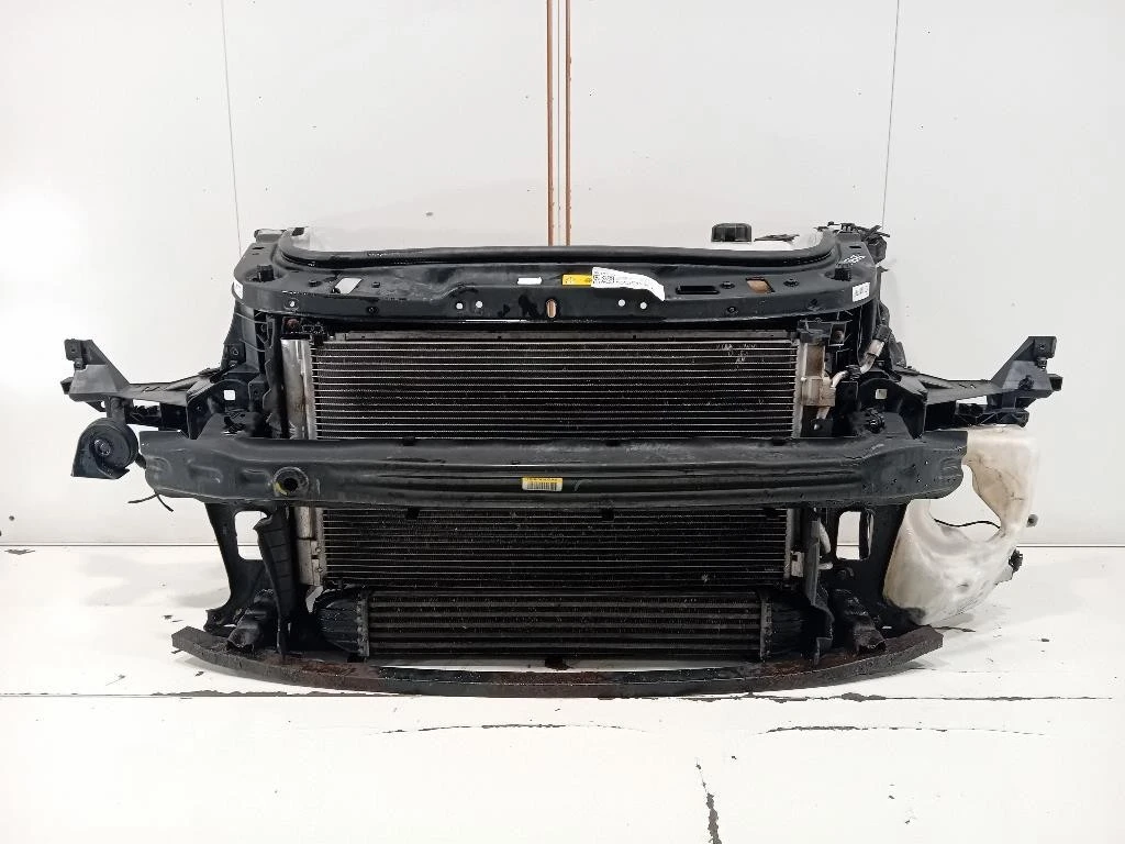 Rivestimento Frontale ANT 51717147912 Mini MINI Cooper R56 2007