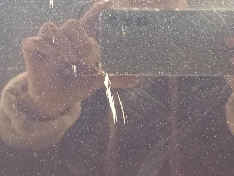 Cofano ANT LR123437 Land Rover Range Rover Evoque I 2011