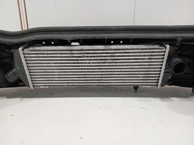 Rivestimento Frontale ANT RIVESTIMENTO FRONTALE ANT Opel Vivaro A 2007