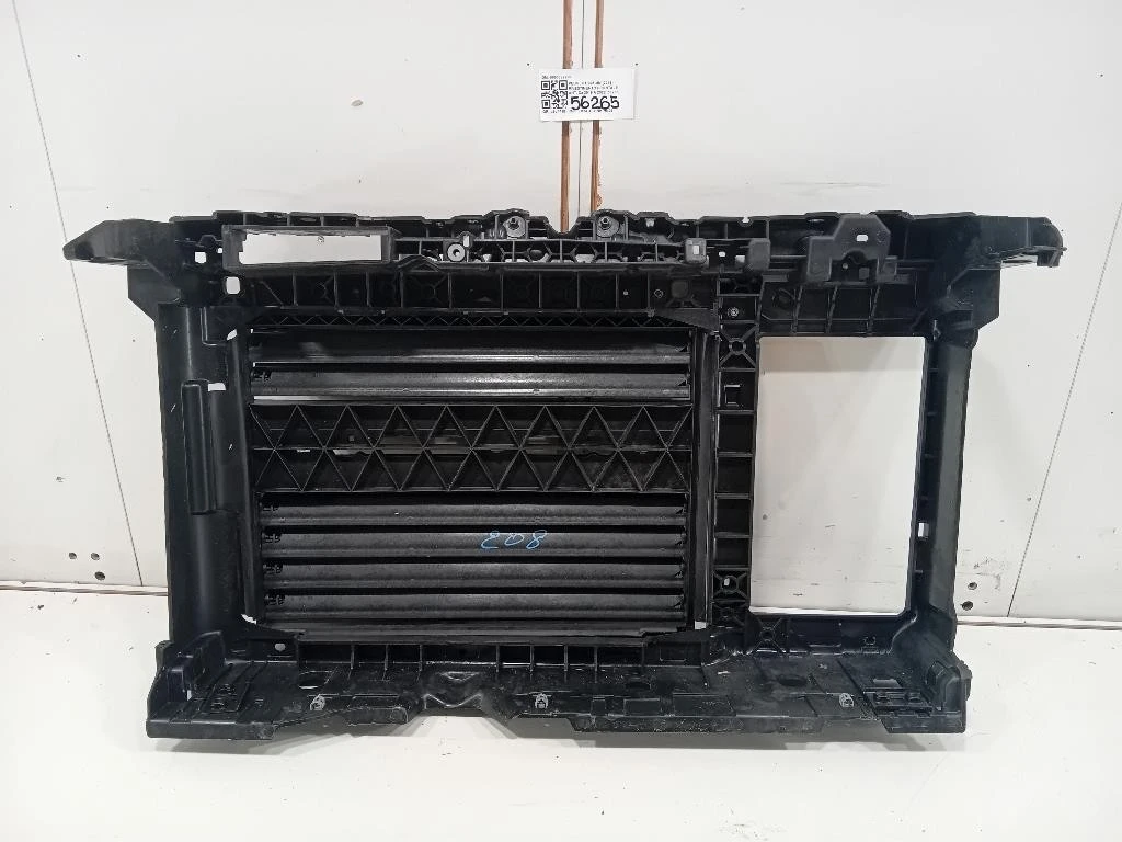 Rivestimento Frontale ANT 9863392280 Peugeot 208 II 2019