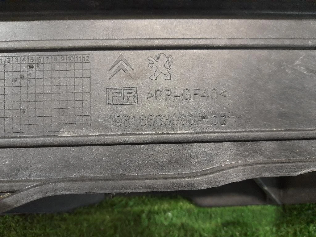 Rivestimento Frontale ANT 9816603980 Peugeot 308 II 2014