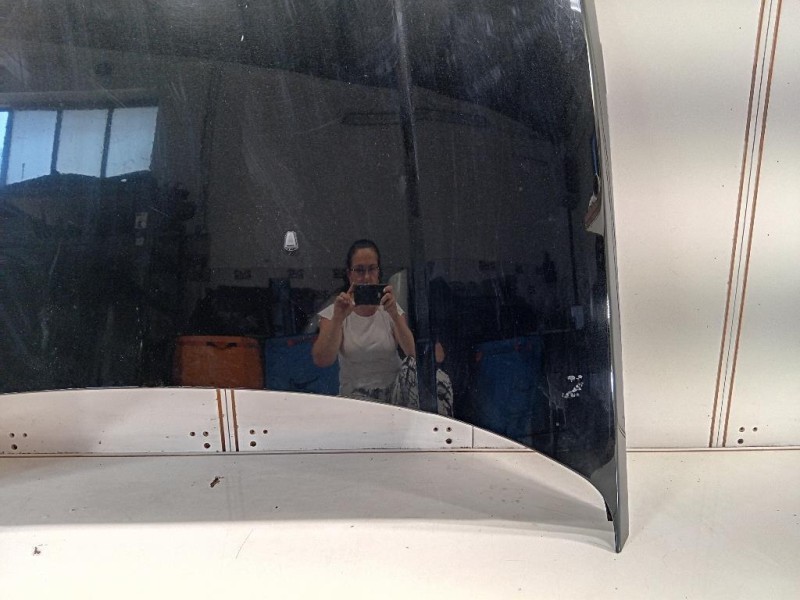 Cofano ANT BKA790050 Land Rover Range Rover Sport II 2009