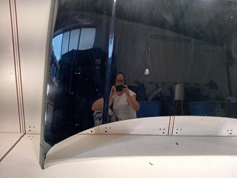 Cofano ANT BKA790050 Land Rover Range Rover Sport II 2009