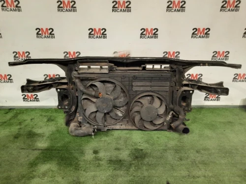 Rivestimento Frontale ANT 3C0805588H Volkswagen Passat V 2005