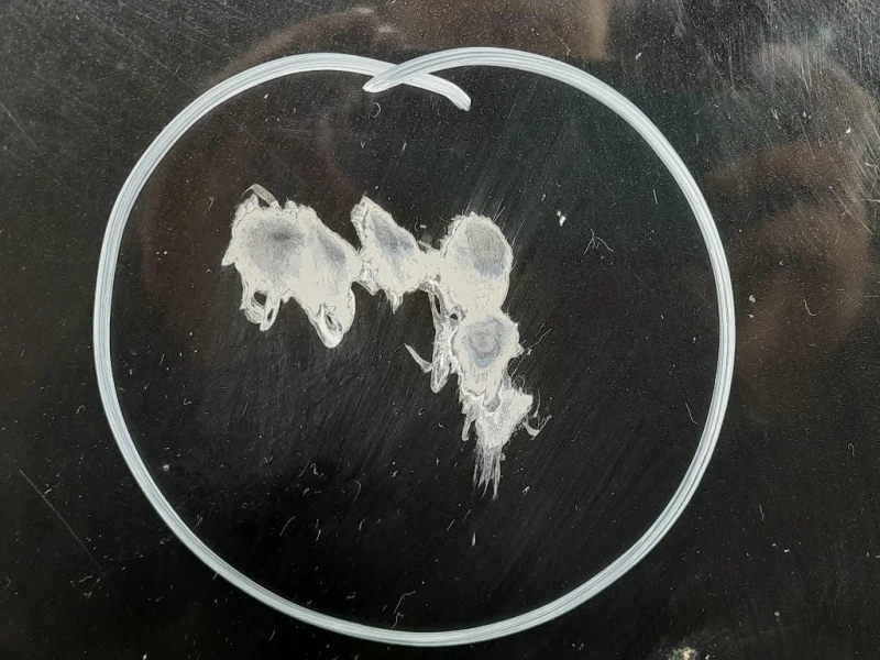 Cofano ANT Mercedes Classe SLK R171 2004