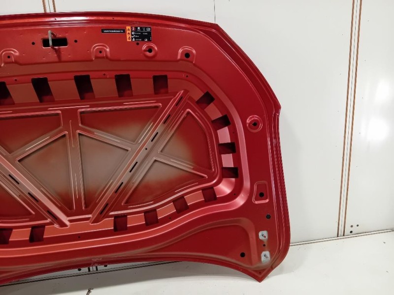 Cofano ANT LSJW74U95RZ255174 Mg ZS II 2020