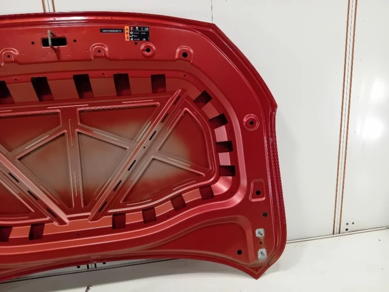 Cofano ANT LSJW74U95RZ255174 Mg ZS II 2020