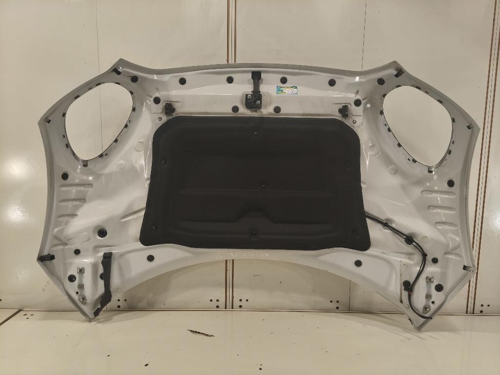 Cofano ANT 41009805935 Mini Countryman Cooper R60 2010