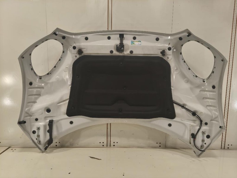 Cofano ANT 41009805935 Mini Countryman Cooper R60 2010