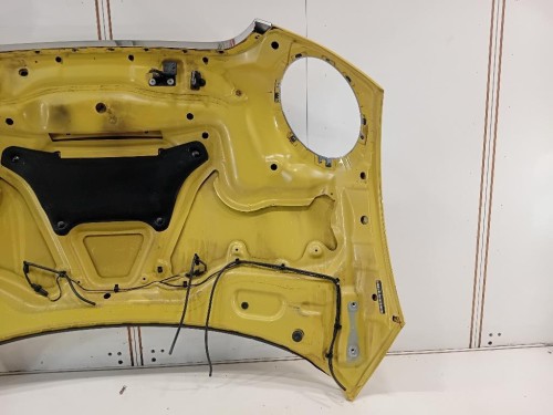 Cofano ANT 41612754741 Mini MINI Cooper R57 Cabrio 2007