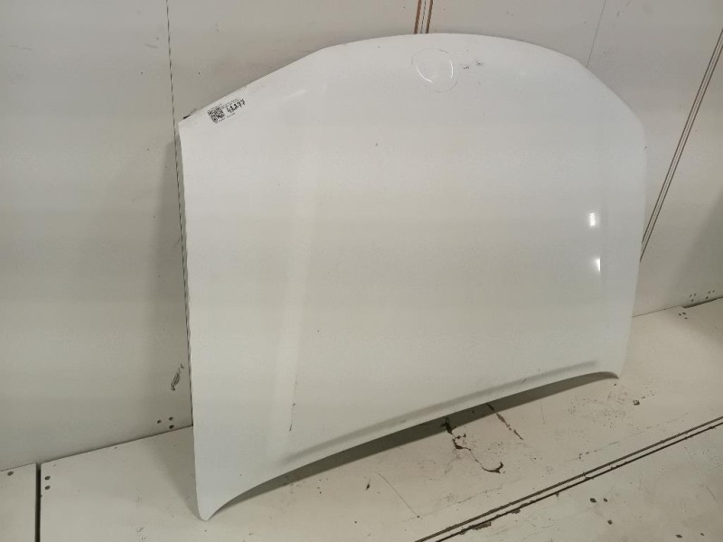 Cofano ANT F51005X3MA Nissan Navara 2010