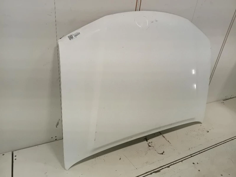 Cofano ANT F51005X3MA Nissan Navara 2010