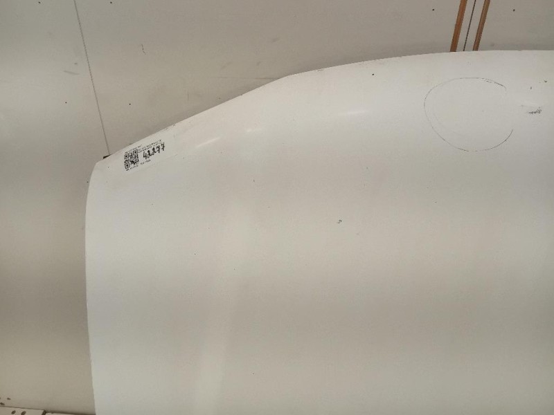 Cofano ANT F51005X3MA Nissan Navara 2010