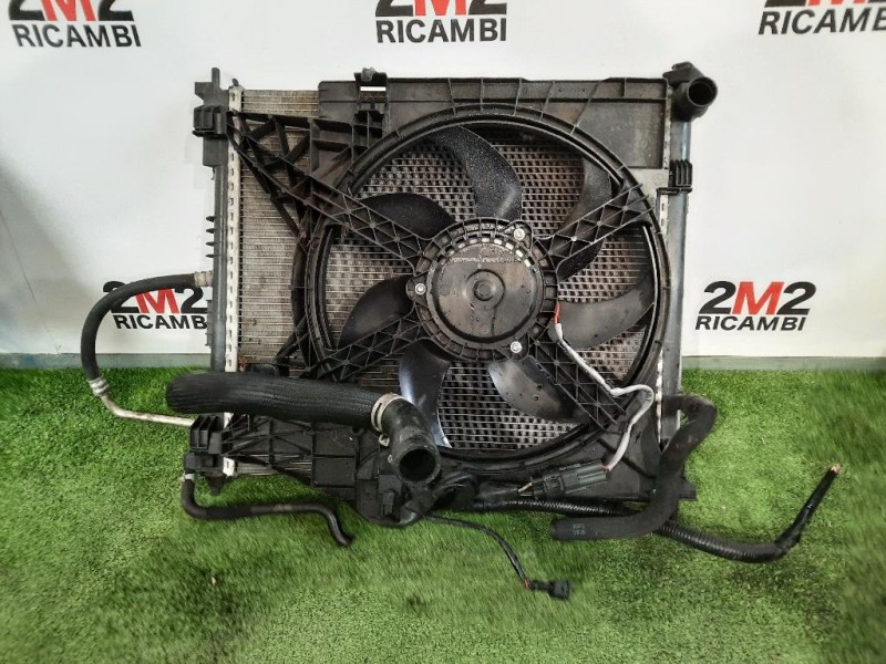 Cofano ANT F5100BJ0MA Nissan Nv200 2009