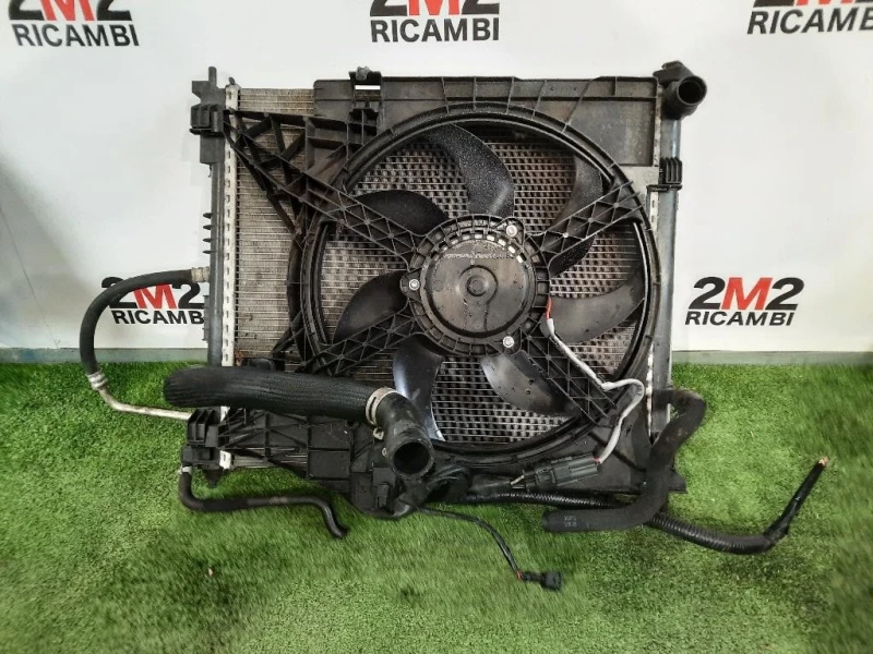 Cofano ANT F5100BJ0MA Nissan Nv200 2009