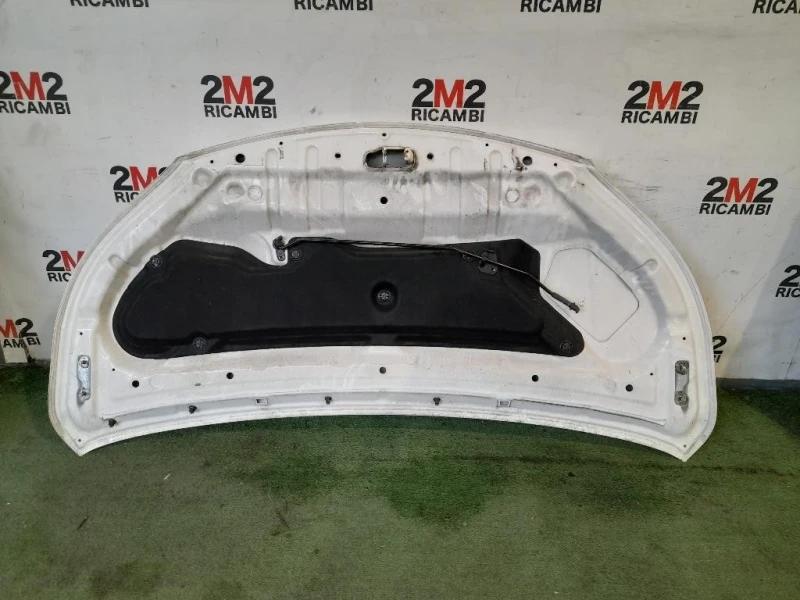 Cofano ANT F5100BJ0MA Nissan Nv200 2009