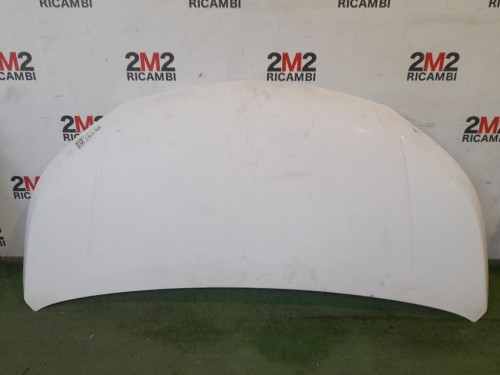 Cofano ANT F5100BJ0MA Nissan Nv200 2009