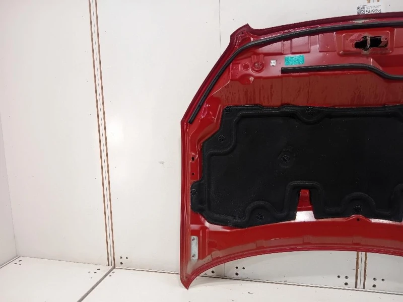 Cofano ANT F5100BR0MC Nissan Qashqai I 2010