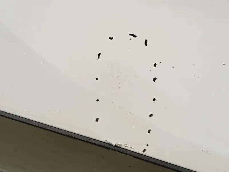 Porta POST DX 42558668 Opel Mokka 2013