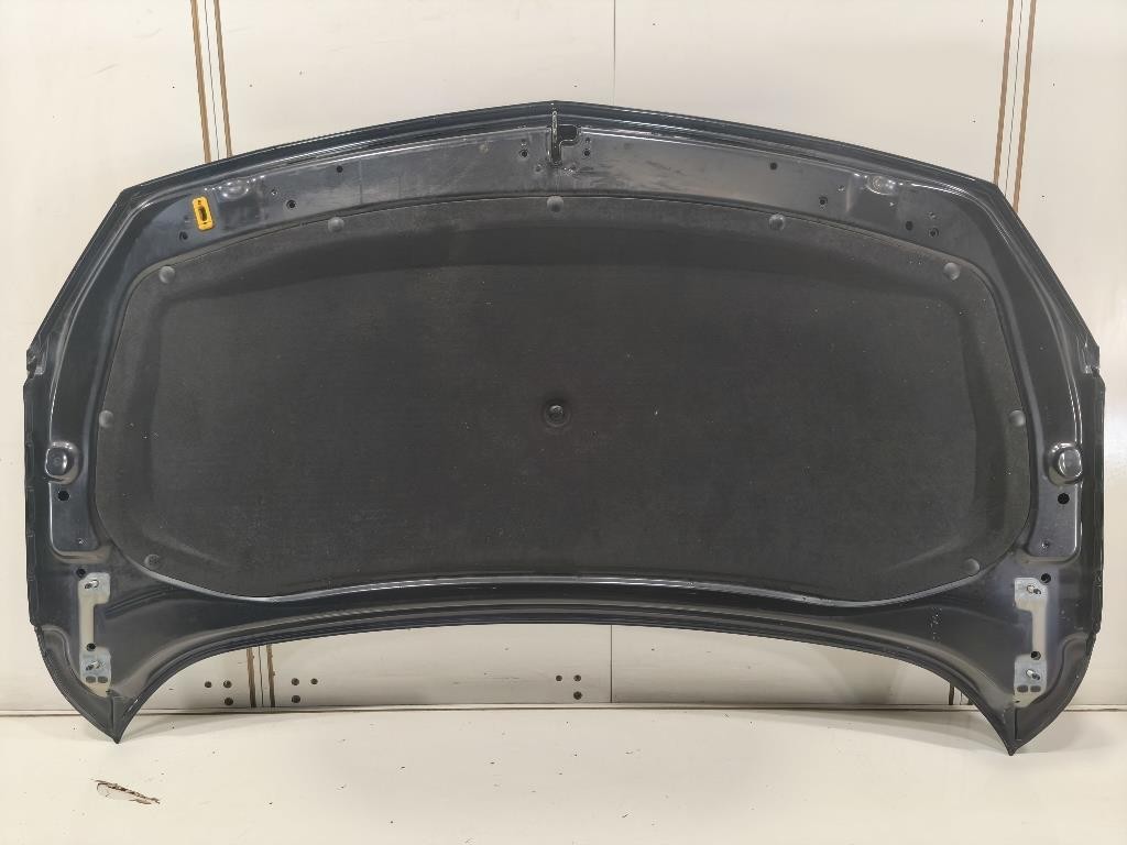 Cofano ANT COFANO ANT Opel Astra J GTC 2010