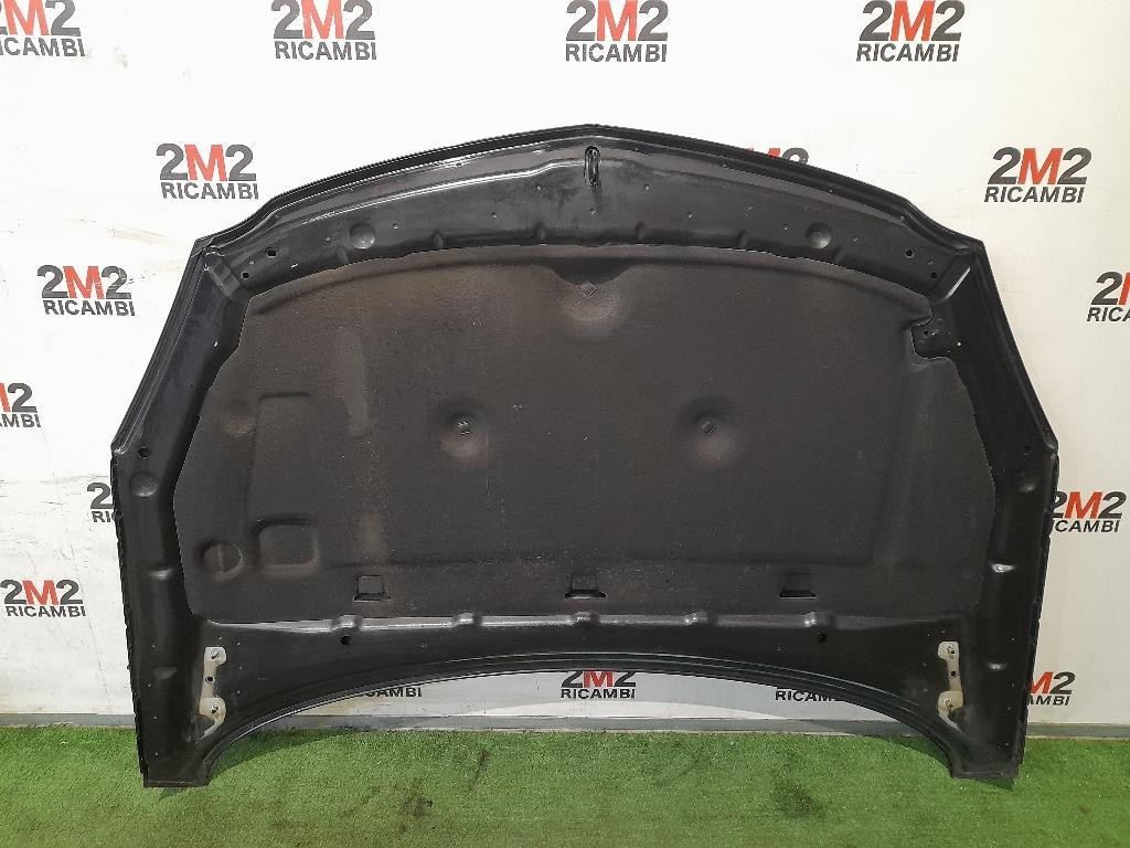 Cofano ANT 39059617 Opel Insignia A 2009