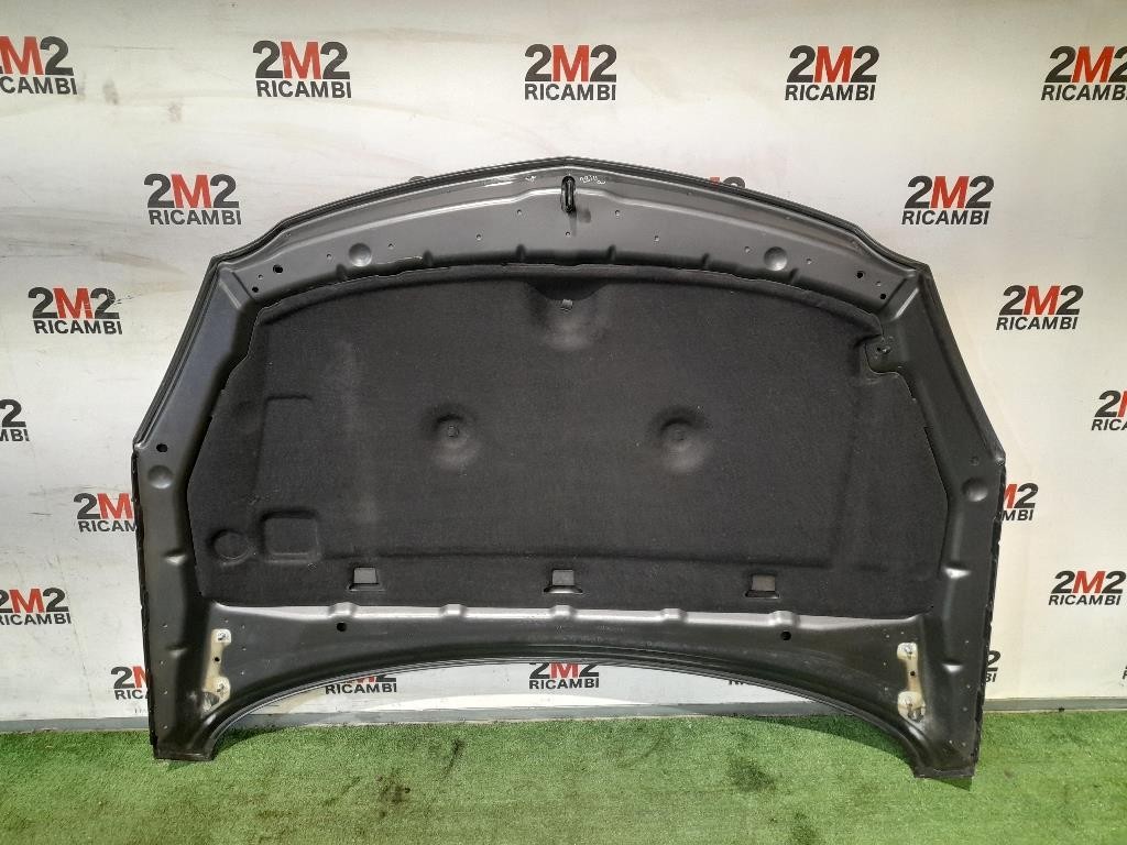 Cofano ANT 39059617 Opel Insignia A 2009