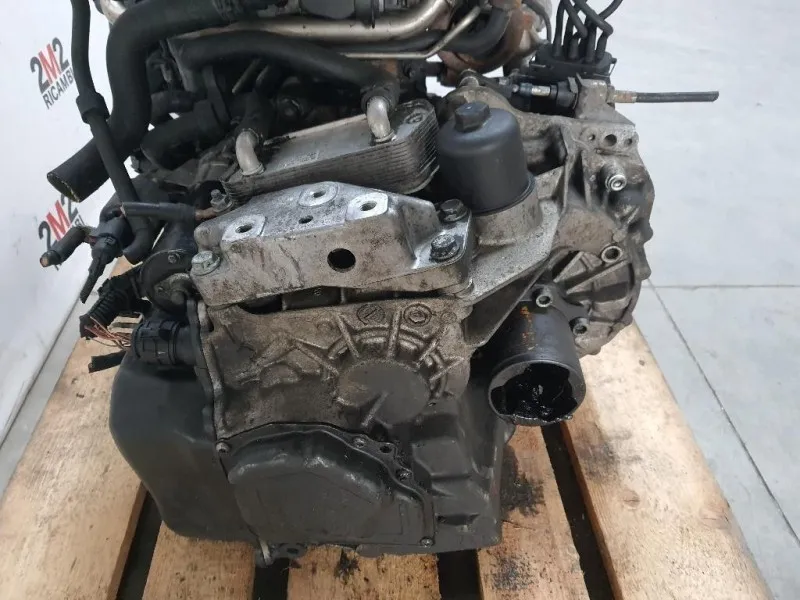 Cambio HXS 02E301103F Audi A3 8P1 2004