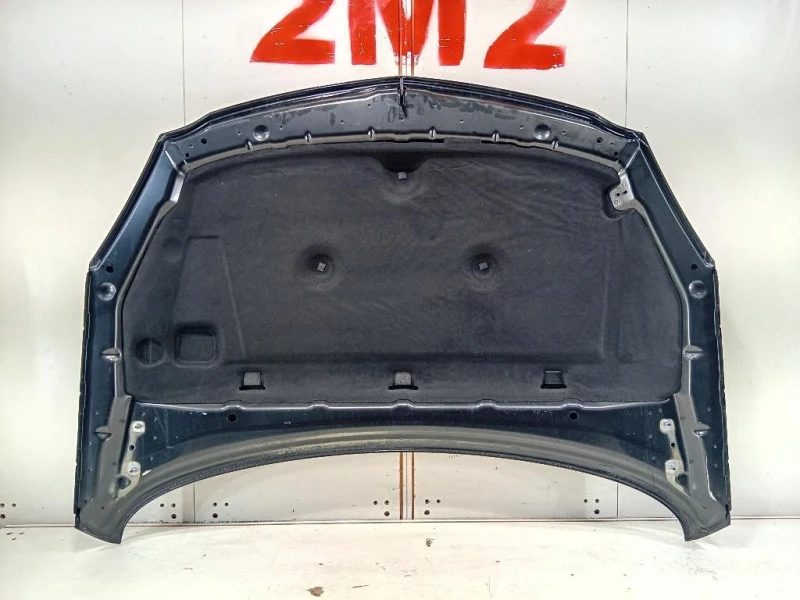 Cofano ANT 39059617 Opel Insignia A 2013