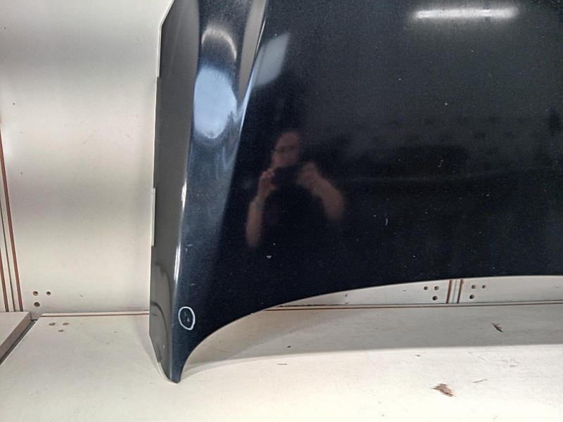 Cofano ANT 39059617 Opel Insignia A 2013