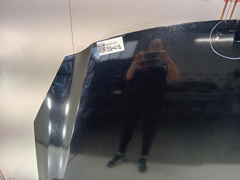 Cofano ANT 39059617 Opel Insignia A 2013