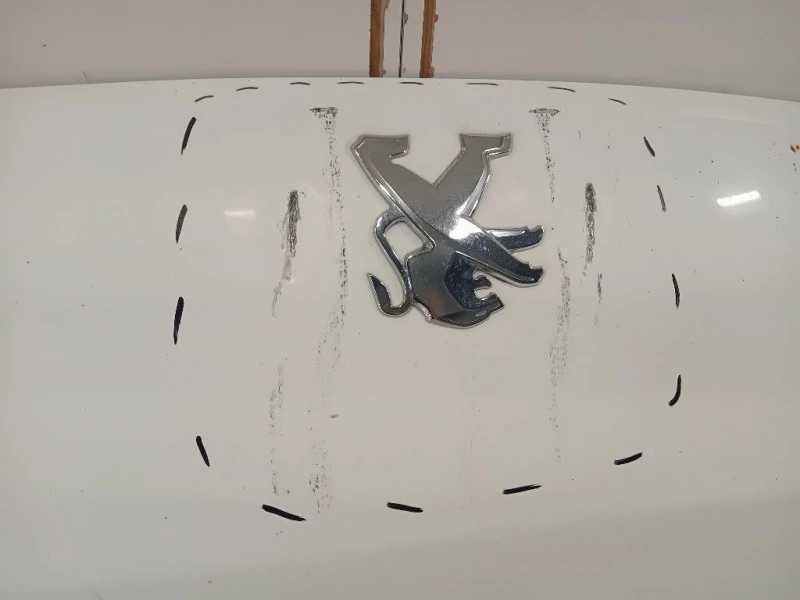 Cofano ANT 1686620980 BOXER 3 Peugeot Boxer III 2014