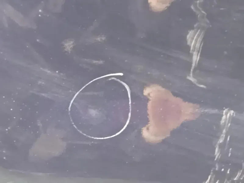 Porta POST DX PORTA POST DX Volkswagen Sharan IV 2015