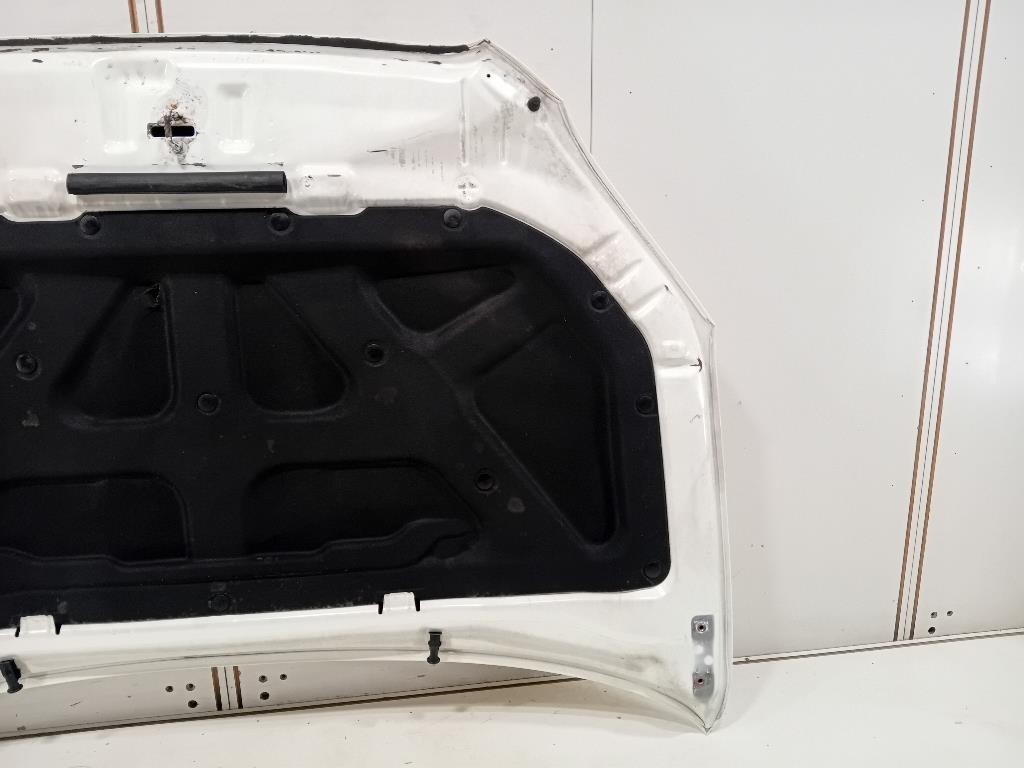 Cofano ANT 6101134201 Ssangyong Korando III 2011