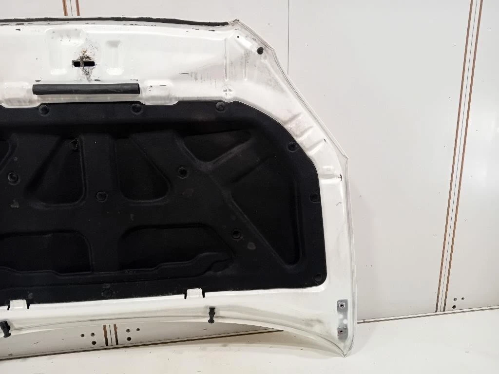 Cofano ANT 6101134201 Ssangyong Korando III 2011