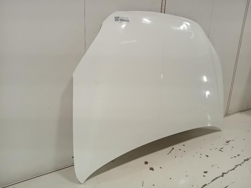 Cofano ANT 6101134201 Ssangyong Korando III 2011