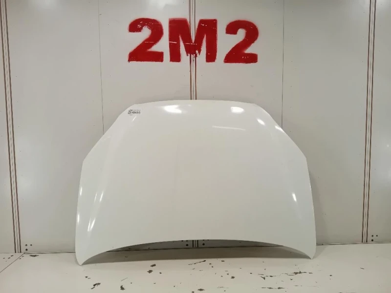 Cofano ANT 6101134201 Ssangyong Korando III 2011