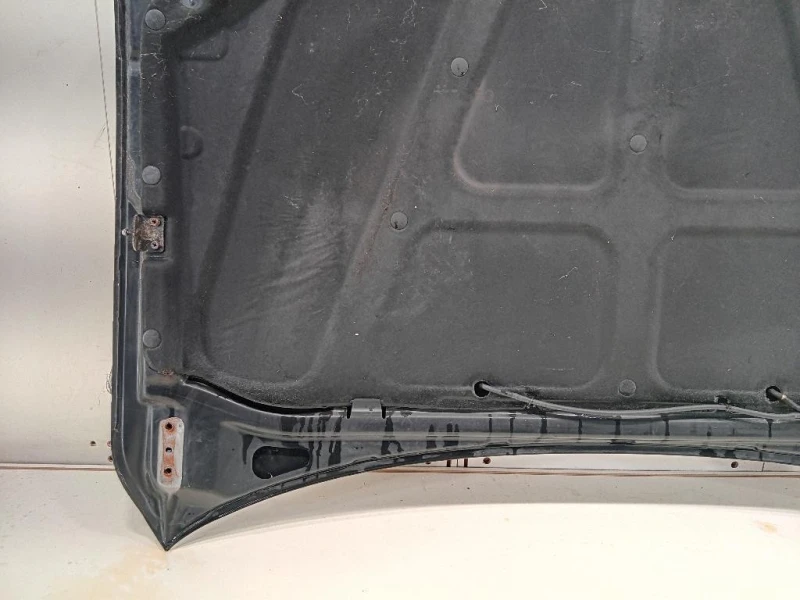 Cofano ANT 6101109111 Ssangyong Kyron 2005