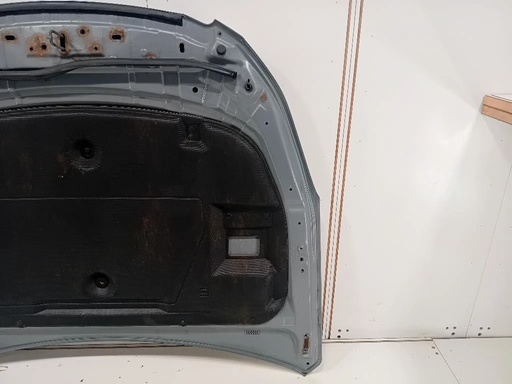 Cofano ANT 57229AJ0219P Subaru Outback III 2009