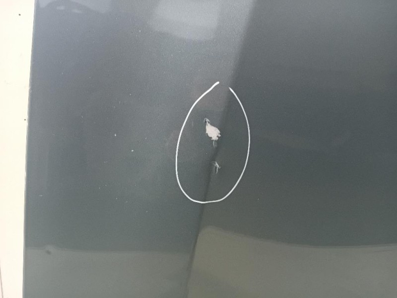 Cofano ANT 57229AJ0219P Subaru Outback III 2009